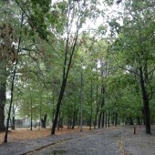 acce23f4657e30f10bd47c3bc88b6de5