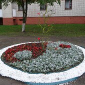 af21c714c46541c836511ca7ff834fe6