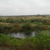 b0f4bb2eccf2817388b36248d21ac754