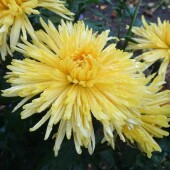 b47d86525a6a37867a5366907bbf3ac0