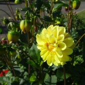 bbbfd2a0bdad7214d991d92228e5850a