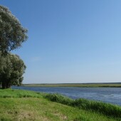 bbd4077b7cf92a2bb0d42c3a589d3893