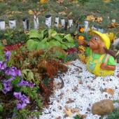 bed0f59a3dae2b7eeed3f6a71b86f0c3