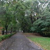 c4d2a07b78ecde6c03273f3e6ed485dc