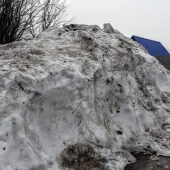 c4de37ad7d17e495050c455a32899371