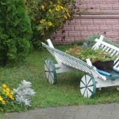 cabf775165c677837704ab1be1afb608