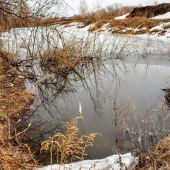 cb37ed79377af3dbd9cf8e87f9de7591