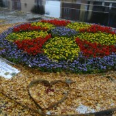 d56b7f836be7aa0bcb61550c76e69682