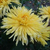 dd462abe090f30e245486b43ef50f3e6