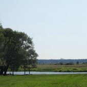 de946af89b80d850fad95e976744e0c6