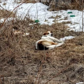 e5885282080822a158a5d5a61c4003d0