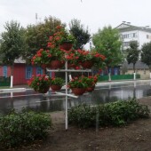 e69a220f0629043a2e29d6571ae3ceff