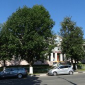 e8873c84856a63ab806c6af6b0bfb24f