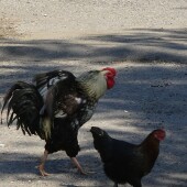 eef340ab17a921ae7337e4f884e35b4d