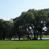 f1e3346f0f59199545bb5dc573b10a2e