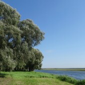 f4d5a787765b39c3019ef15fec6b8e79