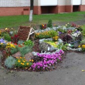 fb2512fa98e0e1b55e0bace37d16f221