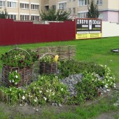 0db2e4c5db7509a4c95cf7230d8637fa