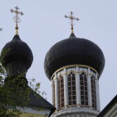 1452d3af0e7e397716d4acc1c0f687f0