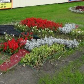 2bd9832caa014c60fbed68384856a7f1