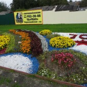 49969a29437edbd657fa9f21e60718c4