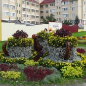 586ca3d47de6be18f0ef824ed75c471c