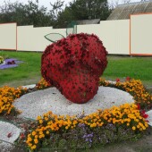 809617d63669bbd0fe6194d466390af0