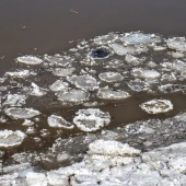 c314e2ba573dca20941e4758c9b81491