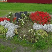 d0bdb83b165da2114b7d916cec14a9ed