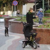 d4935443a4828eb11d0218bf12fb7f1a