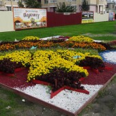 ef94e3b89578e9e9ed0cd95eeeadcf9a