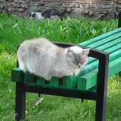 0ad35980203d674e5477fccd9d05b4b7