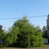 2c06d30d0936e80c3c325f3906c63a3f