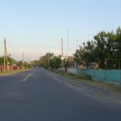 376bab4c419a59601406de852eed8a2b