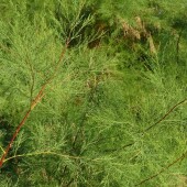 5c4c6fdadef1061d1b62c7787c826aa9