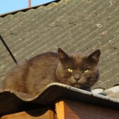 8bbed1ed22899c900e75074079db0131