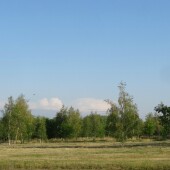 8eceb7e7009d5eb0a5e3ff2f41d85196