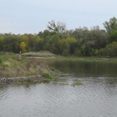 93c1b21e4d034ed15b8d97602a194c59