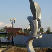 b556beaf6dc9549c6970beb19fa5504c