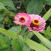 d12113eeade133a3eb636c238898f711