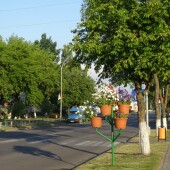 e23d58fe553f719a64843d741a9d14f1