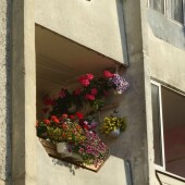 ec64d16adc61f73e5f89279e71c182bd