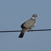 f7aad6da8377a8548618f86f6d59f6b6