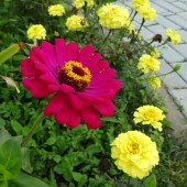 fa7bcc166b51673f8a20398e34a20385