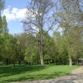 0229cf552ea8662980920748b42d6dd2