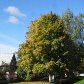 05b26da4436e6e0d332b7e78faf75f97