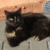 08a0c8af58e3166b67abe2693328ee24