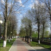 0bf4b9839014c6ec7f8f78367b44f0d6