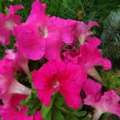 0db4ab82c3a238c20077890d4456bfae