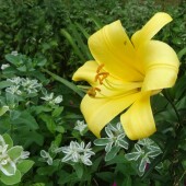 0f9b07866e2754f739516b8503d07e3f